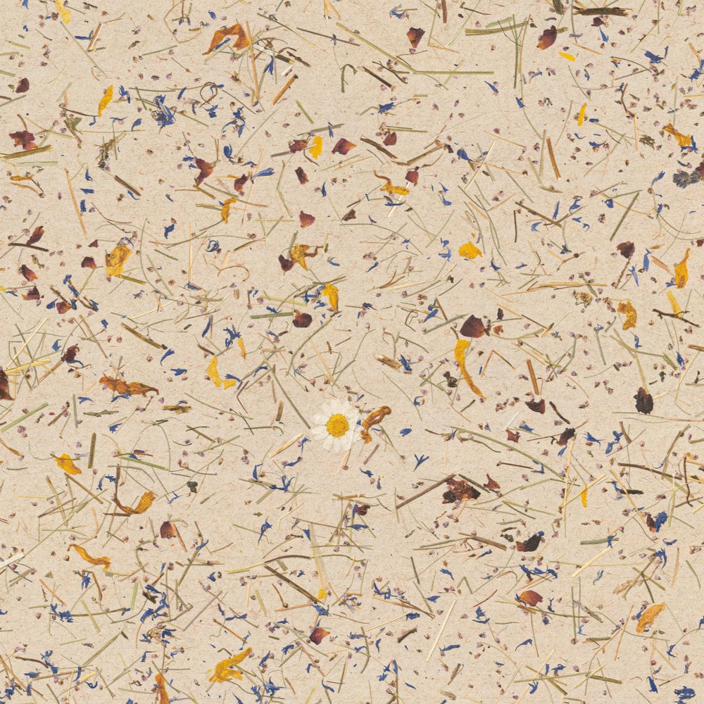 LeuchtNatur Hängeleuchte Naturlampe Discus von LeuchtNatur | Heu Pendelleuchte Almwiese light