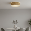 Discus Deckenleuchte Hängeleuchte