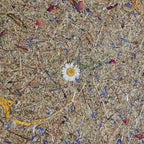 LeuchtNatur Deckenleuchte Naturlampe Deckenleuchte Discus von LeuchtNatur | handgemacht in Almwiese