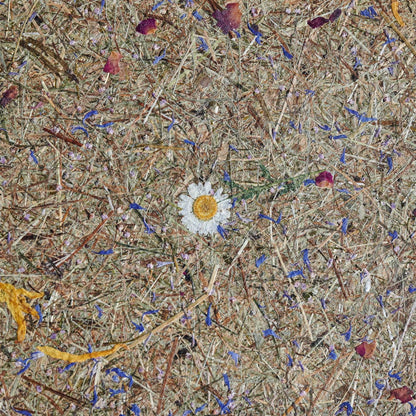 LeuchtNatur Dreibeinstehleuchte Ligno Holz Stehlampe von LeuchtNatur | handgemacht in Almwiese