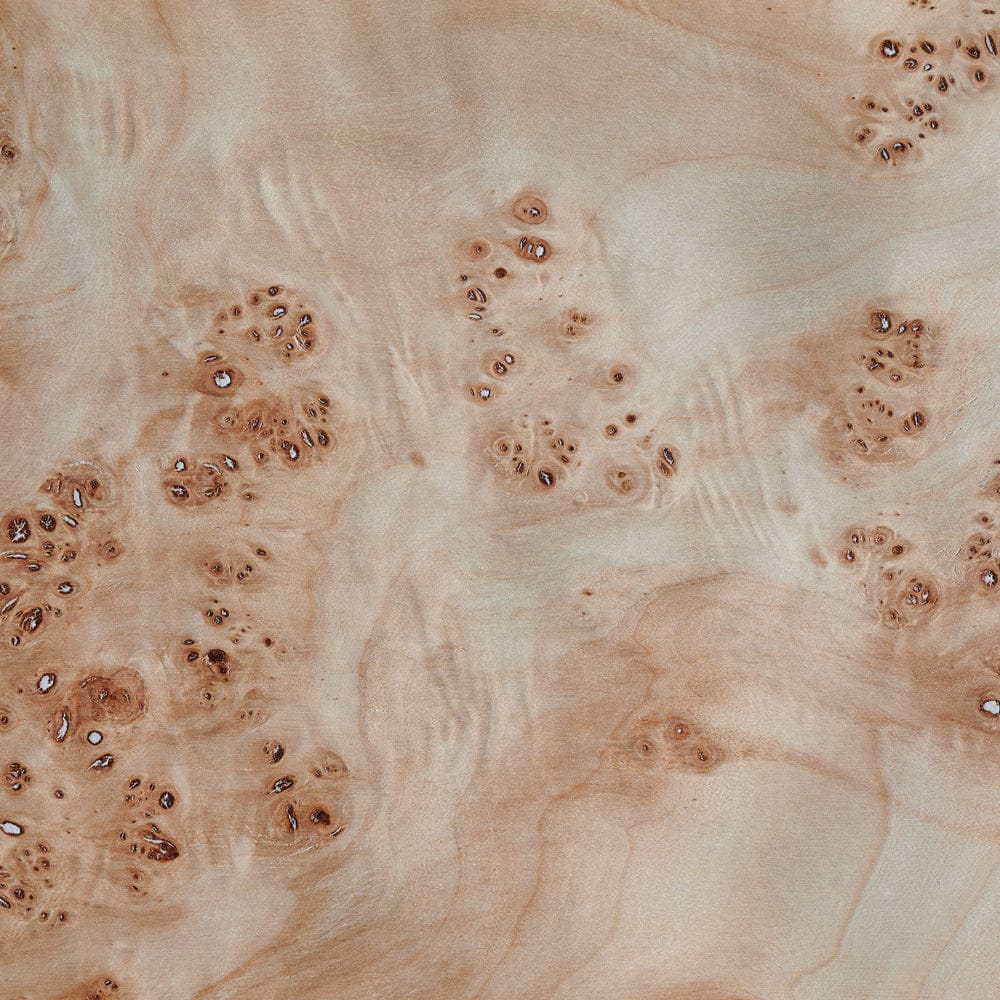 LeuchtNatur Stehleuchte Furnierholz Stehlampe Gracia von LeuchtNatur | Pappel Maser