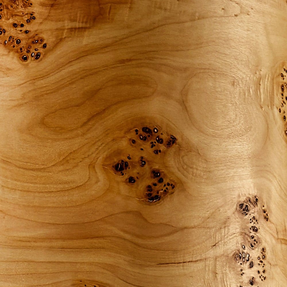 LeuchtNatur Stehleuchte Holzfurnier Stehlampe Columna von LeuchtNatur | Handgemacht in Pappel Maser