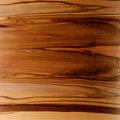 Nussbaum Satin