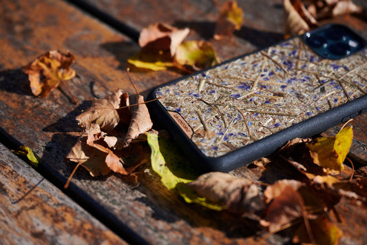 Iphone Cover Lavendel - Leuchtnatur