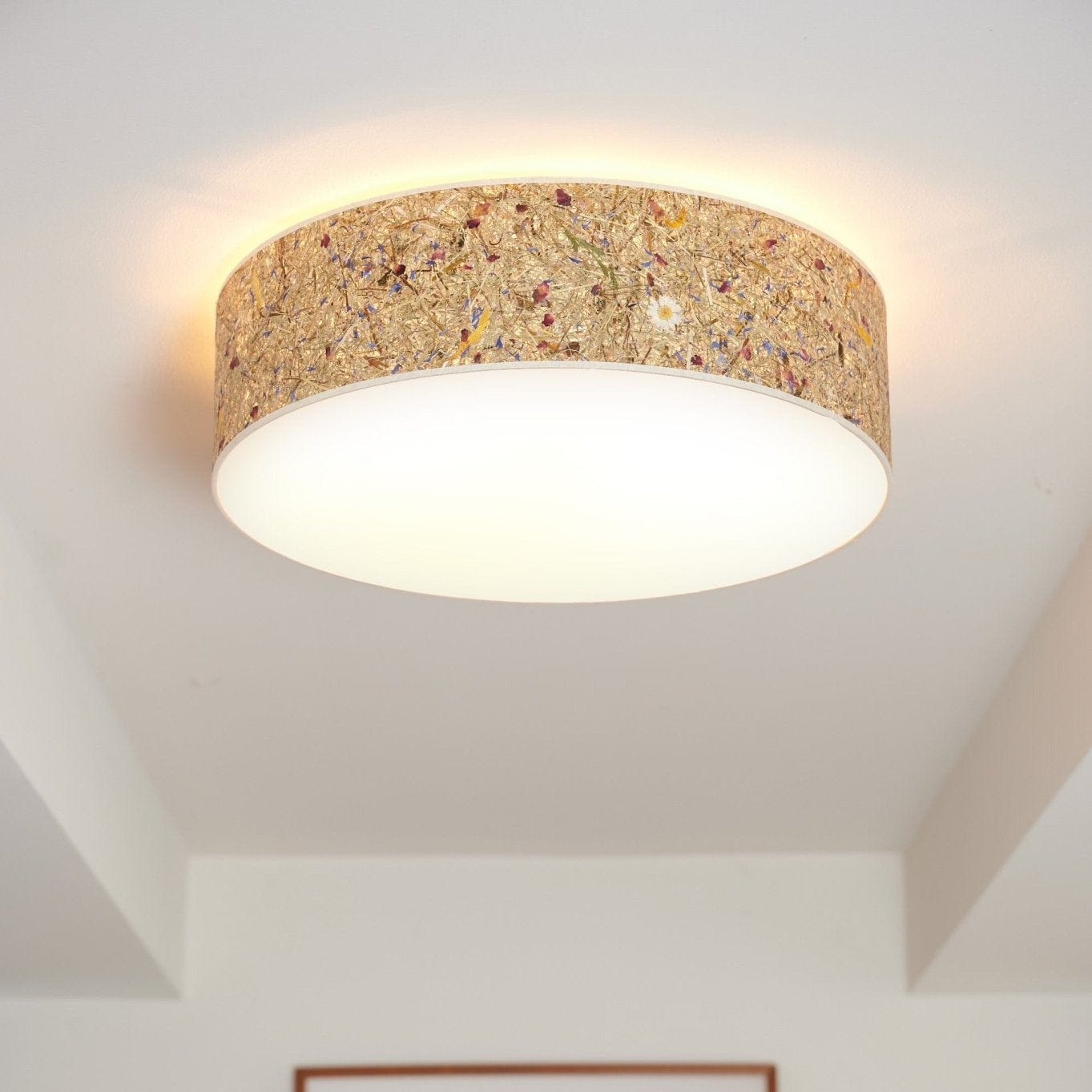 LeuchtNatur Deckenleuchte Discus Deckenleuchte Almwiese