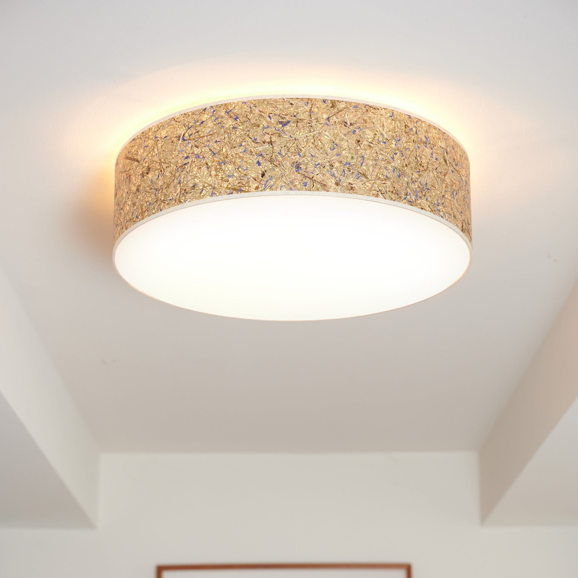 LeuchtNatur Deckenleuchte Discus Deckenleuchte Kornblumen