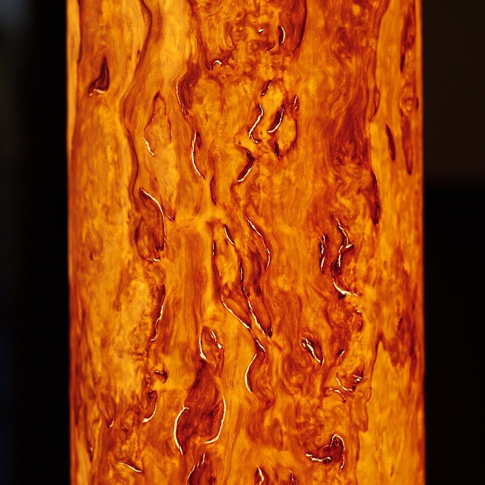 LeuchtNatur Stehleuchte Columna Stehlampe Birke Maser mit Stab